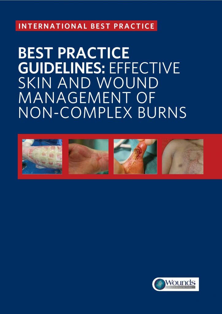 Best practice guidelines: effective skin and wound management of non-complex burns